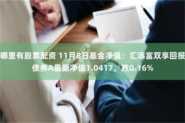 哪里有股票配资 11月8日基金净值：汇添富双享回报债券A最新净值1.0417，跌0.16%