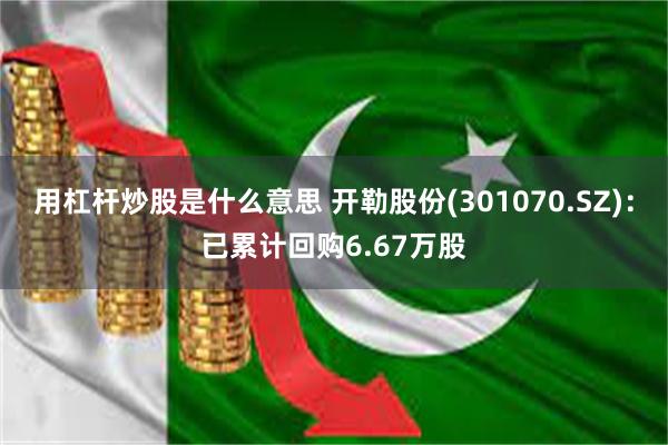 用杠杆炒股是什么意思 开勒股份(301070.SZ)：已累计回购6.67万股