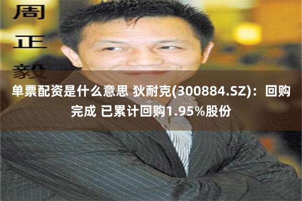 单票配资是什么意思 狄耐克(300884.SZ)：回购完成 已累计回购1.95%股份