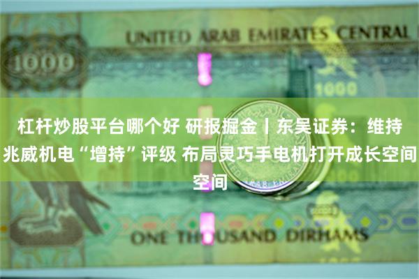 杠杆炒股平台哪个好 研报掘金丨东吴证券：维持兆威机电“增持”评级 布局灵巧手电机打开成长空间