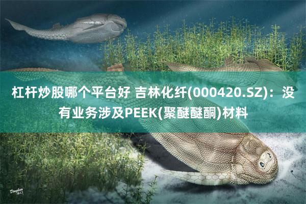 杠杆炒股哪个平台好 吉林化纤(000420.SZ)：没有业务涉及PEEK(聚醚醚酮)材料
