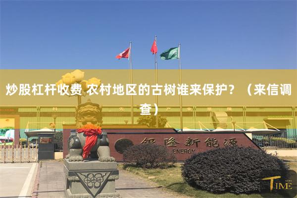 炒股杠杆收费 农村地区的古树谁来保护？（来信调查）