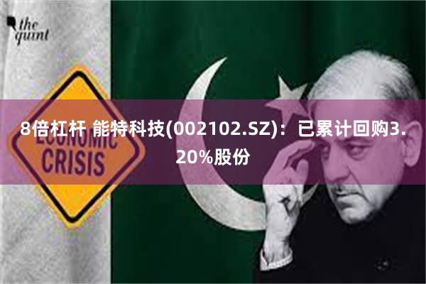 8倍杠杆 能特科技(002102.SZ)：已累计回购3.20%股份