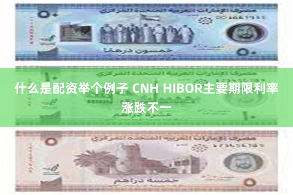 什么是配资举个例子 CNH HIBOR主要期限利率涨跌不一