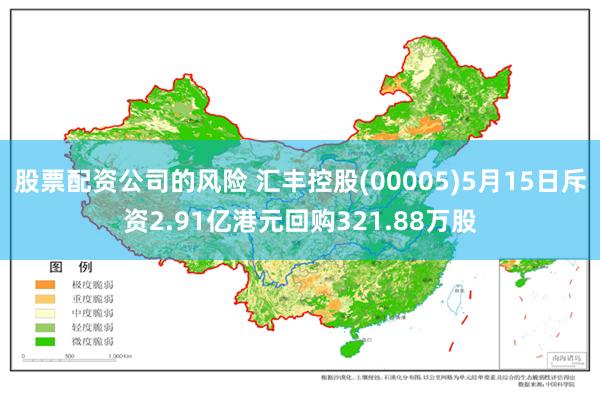 股票配资公司的风险 汇丰控股(00005)5月15日斥资2.91亿港元回购321.88万股