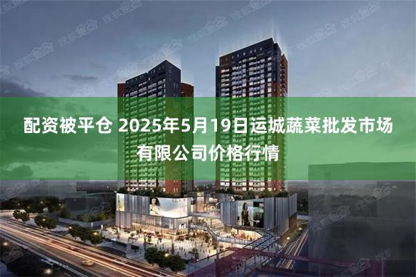 配资被平仓 2025年5月19日运城蔬菜批发市场有限公司价格行情