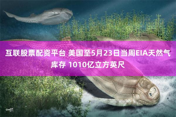 互联股票配资平台 美国至5月23日当周EIA天然气库存 1010亿立方英尺