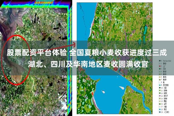 股票配资平台体验 全国夏粮小麦收获进度过三成 湖北、四川及华南地区麦收圆满收官