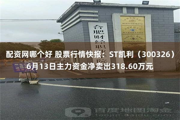配资网哪个好 股票行情快报：ST凯利（300326）6月13日主力资金净卖出318.60万元