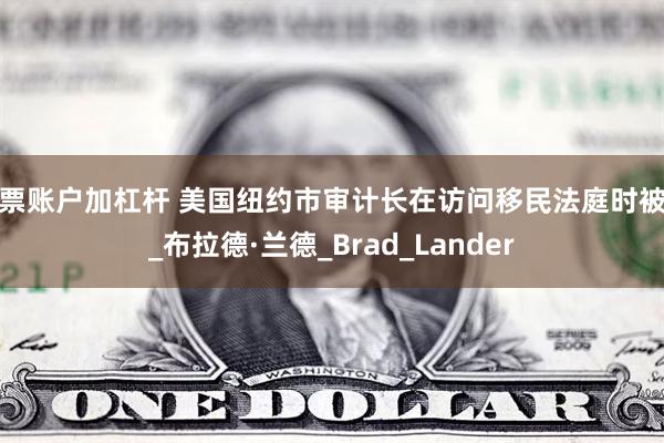 股票账户加杠杆 美国纽约市审计长在访问移民法庭时被捕_布拉德·兰德_Brad_Lander