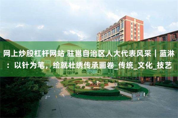 网上炒股杠杆网站 驻邕自治区人大代表风采｜蓝淋：以针为笔，绘就壮绣传承画卷_传统_文化_技艺