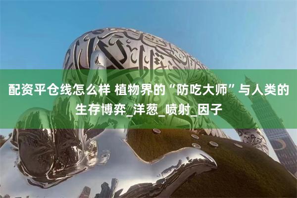 配资平仓线怎么样 植物界的“防吃大师”与人类的生存博弈_洋葱_喷射_因子