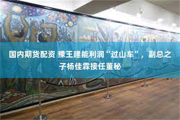 国内期货配资 豫王建能利润“过山车”，副总之子杨佳霖接任董秘